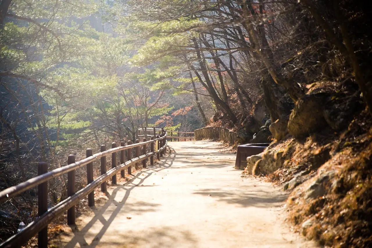 수도권 등산 초보자 추천 코스 6선｜가는 방법부터 맛집까지. 등산 여행 시작해 봅시다